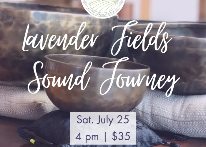 Sound bowls on pillows, Woodland North Logo, event details